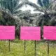 Panen Sawit di Lahan Sitaan Negara Terbongkar, Kendaraan Hilux dan Triton Diduga Digunakan Angkut TBS